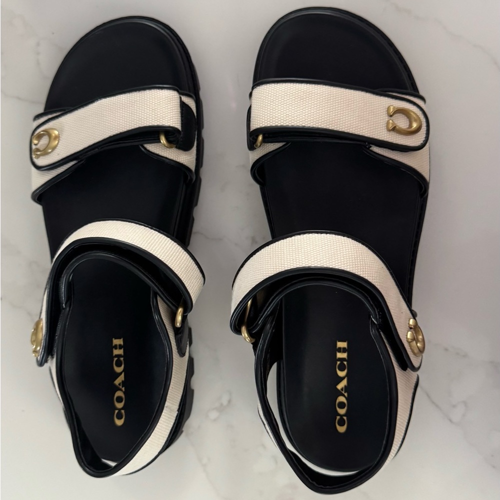 Coach Black and Cream Footwear